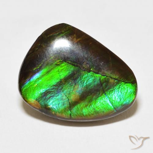 11.84ct Naturale Multicolore Ammolite, Taglio a fantasia, Opaco