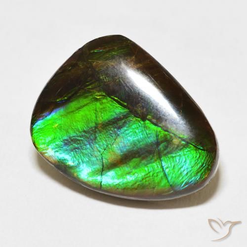 Ammolite Multicolore naturale da 11.84 ct, Taglio a fantasia, Opaco