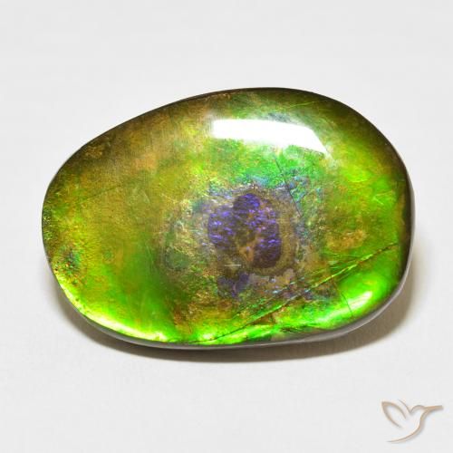 21.49ct Naturale Multicolore Ammolite, Taglio a fantasia, Opaco