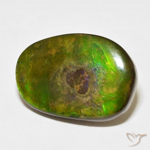 Ammolite Multicolore naturale da 21.49 ct, Taglio a fantasia, Opaco