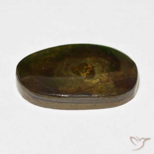 Ammolite Multicolore naturale da 21.49 ct, Taglio a fantasia, Opaco