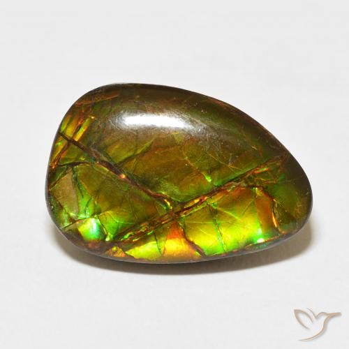 11.07ct Naturale Multicolore Ammolite, Taglio a fantasia, Opaco