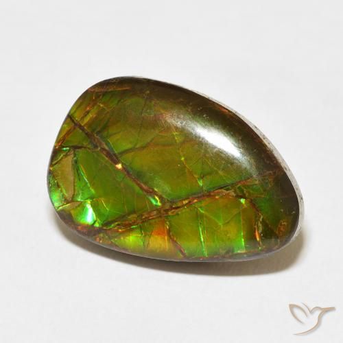 Ammolite Multicolore naturale da 11.07 ct, Taglio a fantasia, Opaco