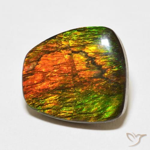 Ammolite Multicolore naturale da 11.47 ct, Taglio a fantasia, Opaco