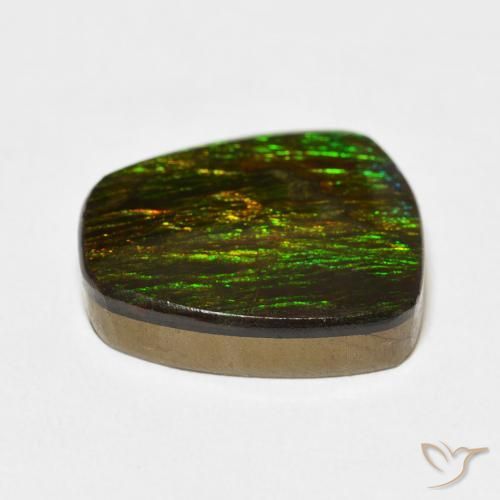 Ammolite Multicolore naturale da 11.47 ct, Taglio a fantasia, Opaco