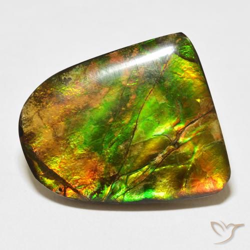 20.38ct Naturale Multicolore Ammolite, Taglio a fantasia, Opaco