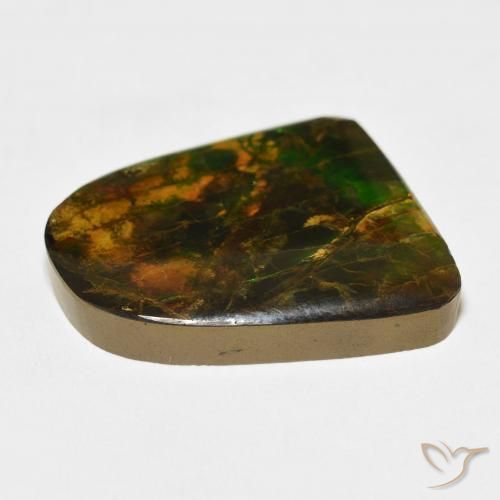 Ammolite Multicolore naturale da 20.38 ct, Taglio a fantasia, Opaco