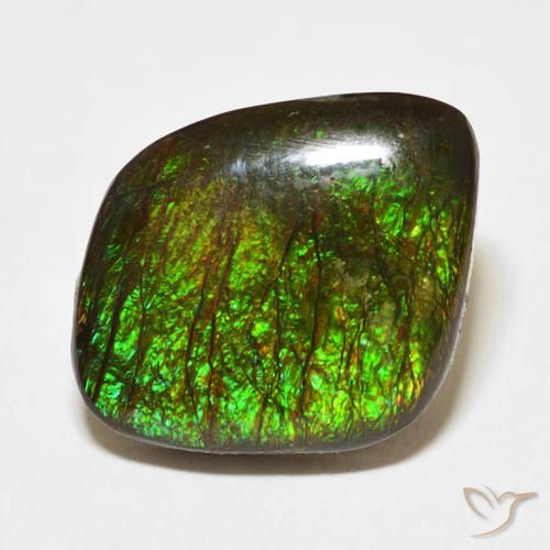 10.62ct Naturale Multicolore Ammolite, Taglio a fantasia, Opaco