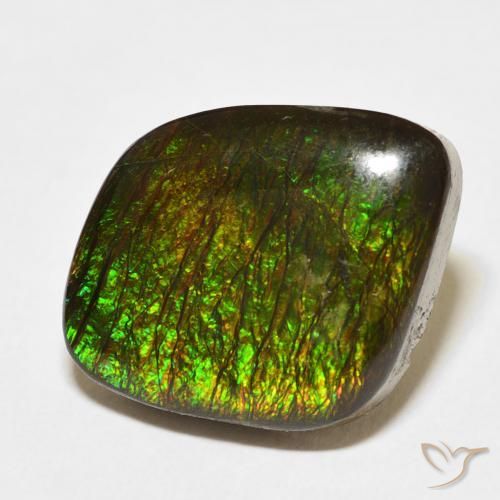 Ammolite Multicolore naturale da 10.62 ct, Taglio a fantasia, Opaco