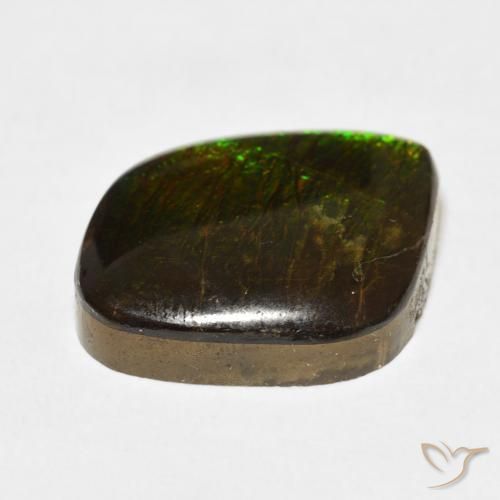 Ammolite Multicolore naturale da 10.62 ct, Taglio a fantasia, Opaco
