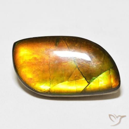 14.45ct Naturale Multicolore Ammolite, Taglio a fantasia, Opaco