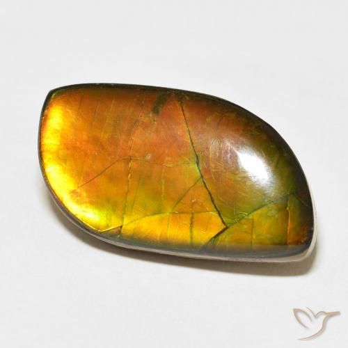 Ammolite Multicolore naturale da 14.45 ct, Taglio a fantasia, Opaco