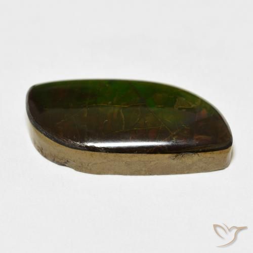 Ammolite Multicolore naturale da 14.45 ct, Taglio a fantasia, Opaco
