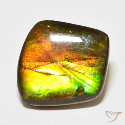 13.63ct Naturale Multicolore Ammolite, Taglio a fantasia, Opaco