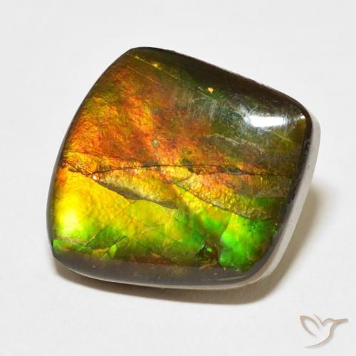Ammolite Multicolore naturale da 13.63 ct, Taglio a fantasia, Opaco