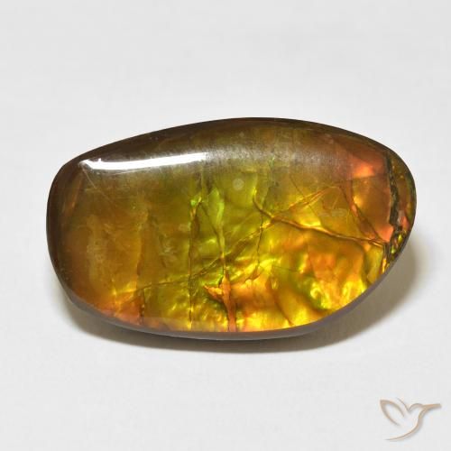 17.48ct Naturale Multicolore Ammolite, Taglio a fantasia, Opaco