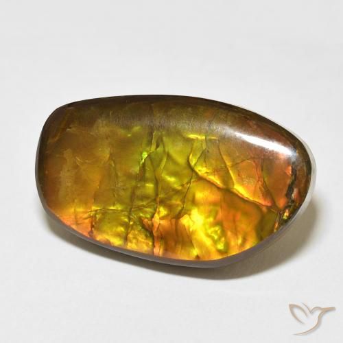 Ammolite Multicolore naturale da 17.48 ct, Taglio a fantasia, Opaco