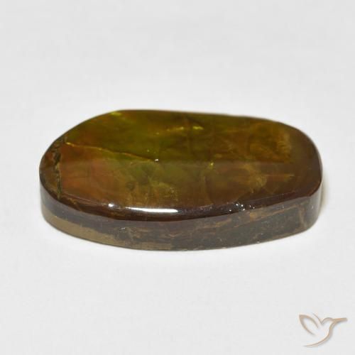 Ammolite Multicolore naturale da 17.48 ct, Taglio a fantasia, Opaco
