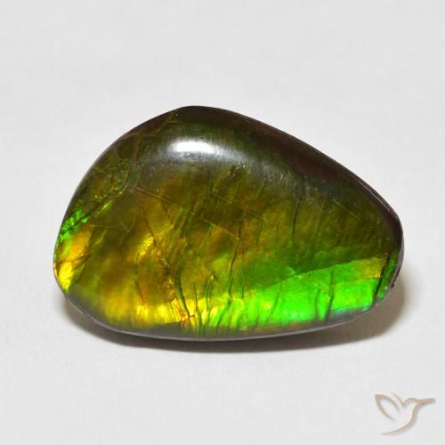 13.79ct Naturale Multicolore Ammolite, Taglio a fantasia, Opaco
