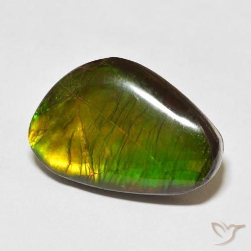 Ammolite Multicolore naturale da 13.79 ct, Taglio a fantasia, Opaco