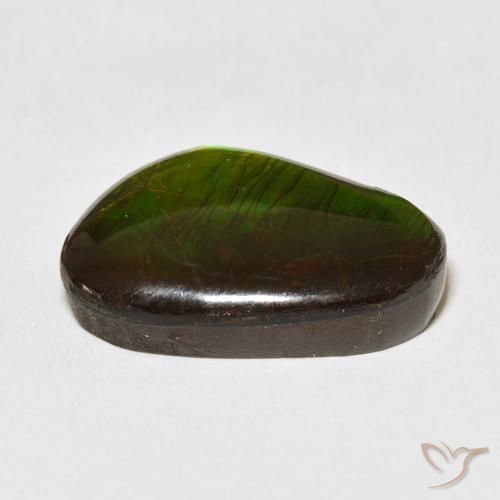 Ammolite Multicolore naturale da 13.79 ct, Taglio a fantasia, Opaco