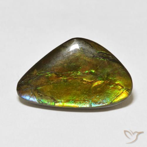 Ammolite Multicolore naturale da 13.60 ct, Taglio a fantasia, Opaco