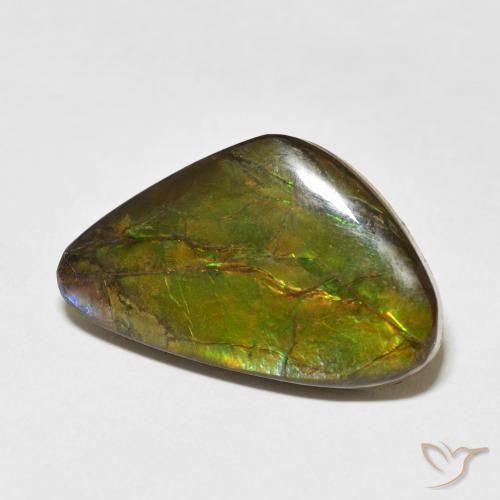 Ammolite Multicolore naturale da 13.60 ct, Taglio a fantasia, Opaco
