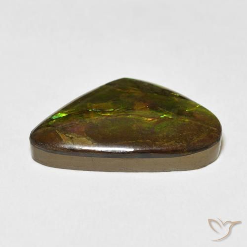 Ammolite Multicolore naturale da 13.60 ct, Taglio a fantasia, Opaco