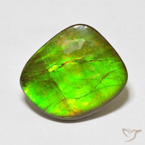10.95ct Naturale Multicolore Ammolite, Taglio a fantasia, Opaco