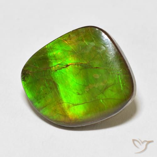 Ammolite Multicolore naturale da 10.95 ct, Taglio a fantasia, Opaco