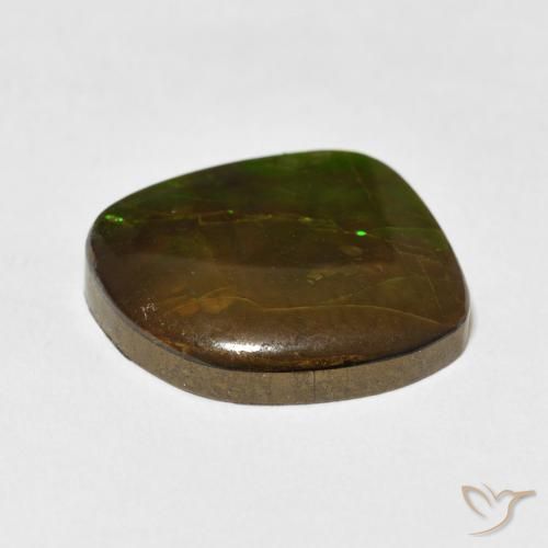 Ammolite Multicolore naturale da 10.95 ct, Taglio a fantasia, Opaco