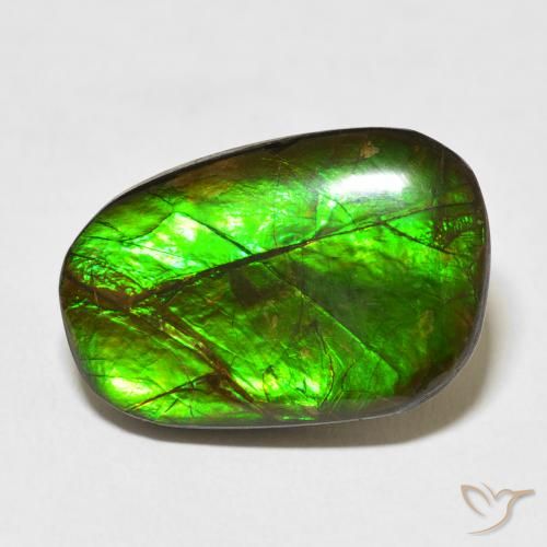 13.96ct Naturale Multicolore Ammolite, Taglio a fantasia, Opaco