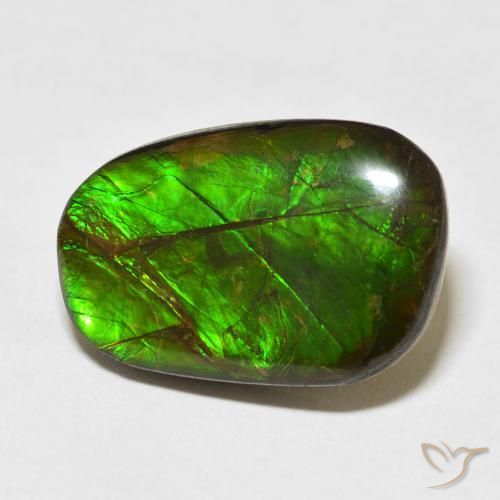 Ammolite Multicolore naturale da 13.96 ct, Taglio a fantasia, Opaco