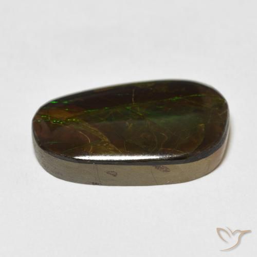 Ammolite Multicolore naturale da 13.96 ct, Taglio a fantasia, Opaco