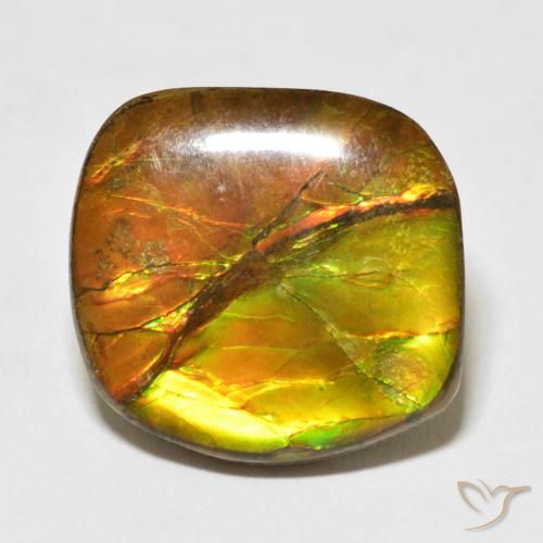 15.37ct Naturale Multicolore Ammolite, Taglio a fantasia, Opaco