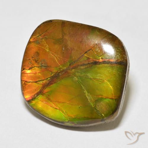 Ammolite Multicolore naturale da 15.37 ct, Taglio a fantasia, Opaco
