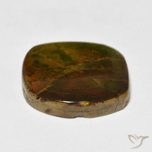 Ammolite Multicolore naturale da 15.37 ct, Taglio a fantasia, Opaco