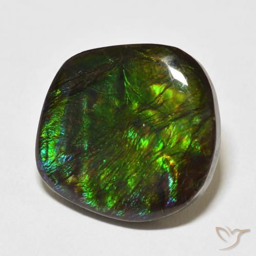 Ammolite Multicolore naturale da 17.53 ct, Taglio a fantasia, Opaco