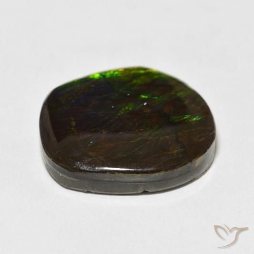 Ammolite Multicolore naturale da 17.53 ct, Taglio a fantasia, Opaco