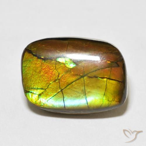 13.68ct Naturale Multicolore Ammolite, Taglio a fantasia, Opaco
