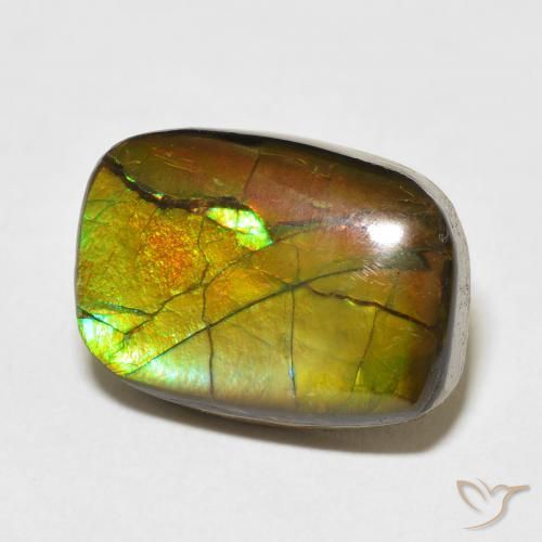 Ammolite Multicolore naturale da 13.68 ct, Taglio a fantasia, Opaco