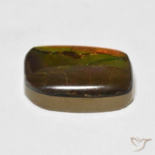 Ammolite Multicolore naturale da 13.68 ct, Taglio a fantasia, Opaco