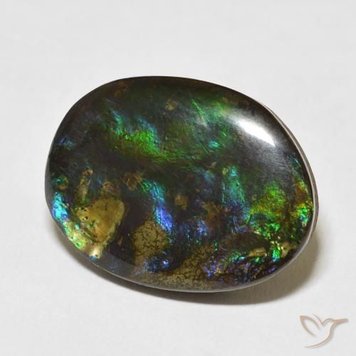Ammolite Multicolore naturale da 15.59 ct, Taglio a fantasia, Opaco