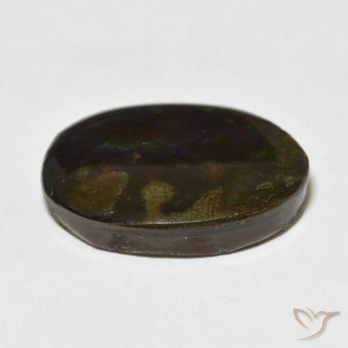 Ammolite Multicolore naturale da 15.59 ct, Taglio a fantasia, Opaco