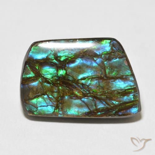 13.92ct Naturale Multicolore Ammolite, Taglio a fantasia, Opaco