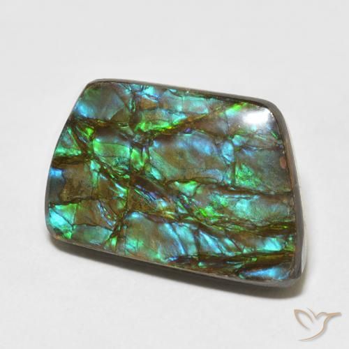 Ammolite Multicolore naturale da 13.92 ct, Taglio a fantasia, Opaco