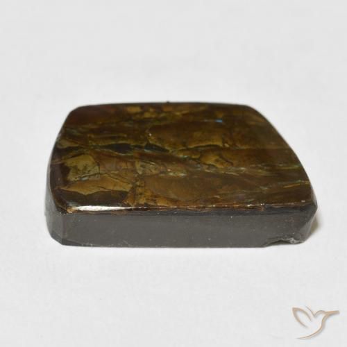 Ammolite Multicolore naturale da 13.92 ct, Taglio a fantasia, Opaco