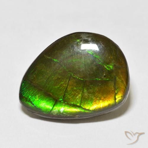 13.55ct Naturale Multicolore Ammolite, Taglio a fantasia, Opaco