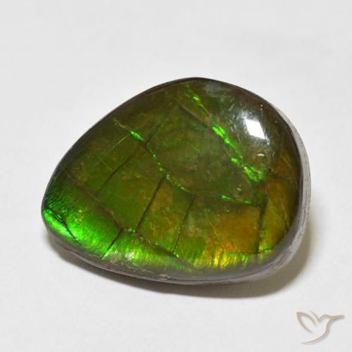 Ammolite Multicolore naturale da 13.55 ct, Taglio a fantasia, Opaco