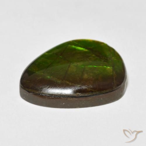 Ammolite Multicolore naturale da 13.55 ct, Taglio a fantasia, Opaco